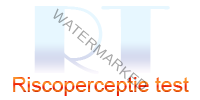 Risicoperceptietest Online